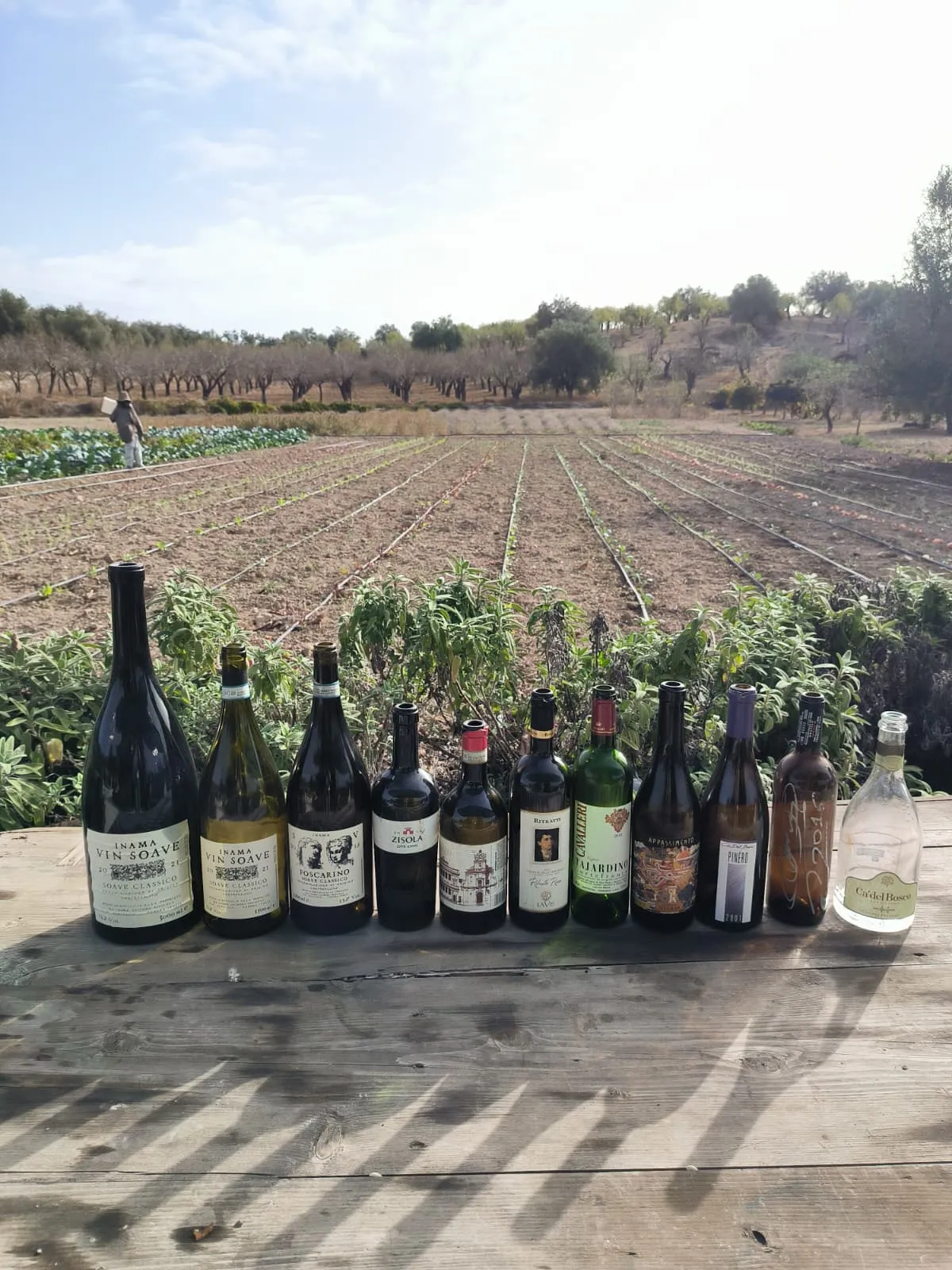 Castelbio organic garden
