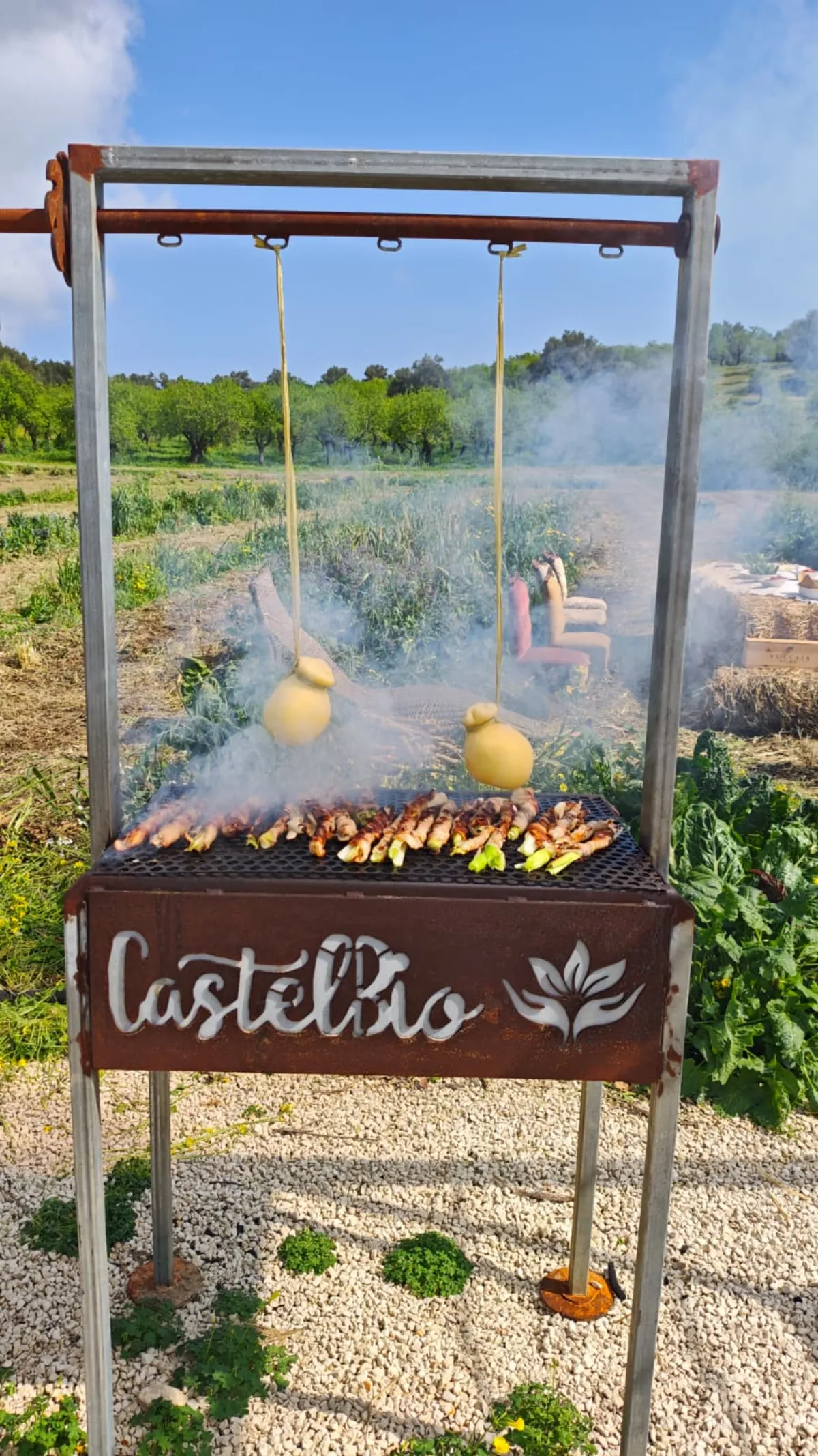 Fresh organic vegetables